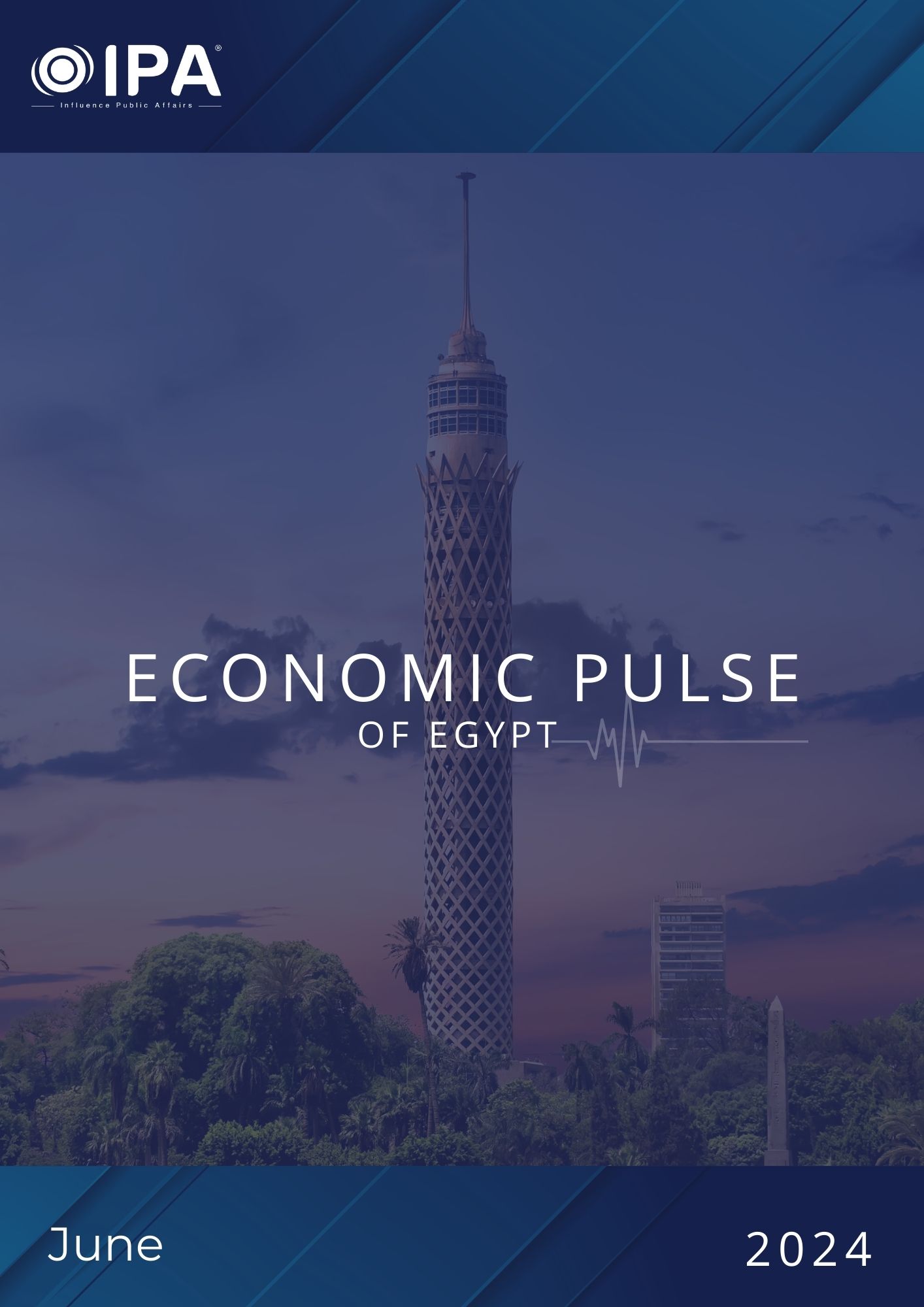 Economic Pulse of Egypt - June 2024
